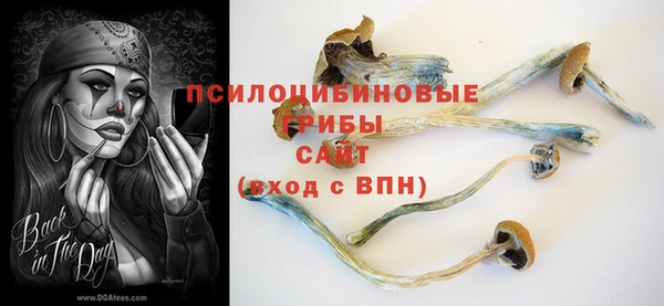шишки Майский