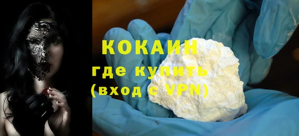 шишки Майский