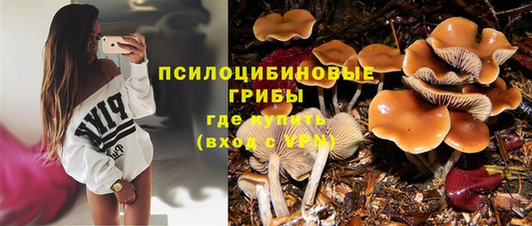 шишки Майский
