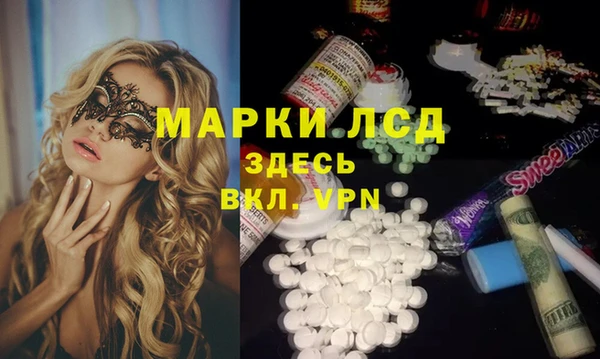 шишки Майский