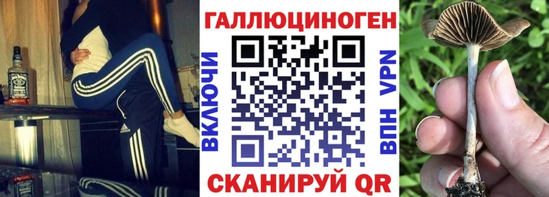 omg   где купить   Холмск  Псилоцибиновые грибы MAGIC MUSHROOMS 