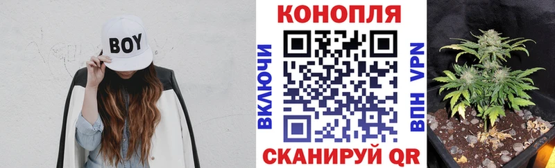 Бошки Шишки ГИДРОПОН  blacksprut ТОР  Холмск 